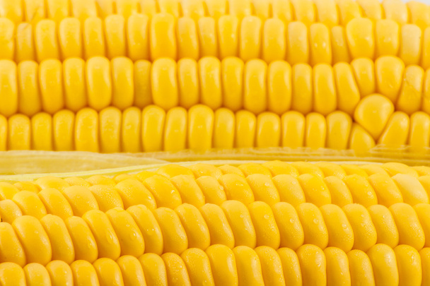 Érlelt kukorica szemei - Fotó, kép
