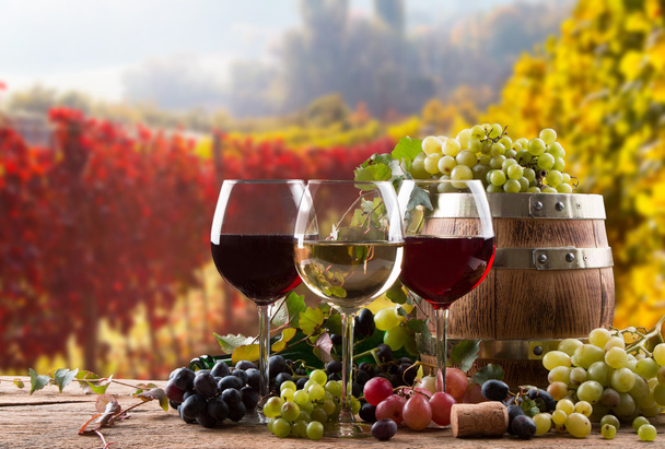 κόκκινο, ροζ, λευκό κρασιού μπουκάλια και ποτήρια κρασιού - Φωτογραφία, εικόνα