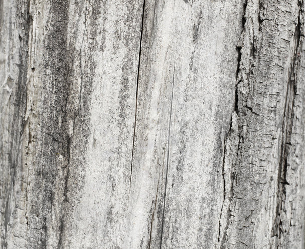 wooden texture background - Фото, изображение