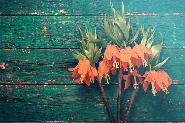 Flores de tulipas vermelhas de primavera frescas em tábuas de madeira. Foco seletivo. Lugar para SMS. Imagem tonificada
.  - Foto, Imagem