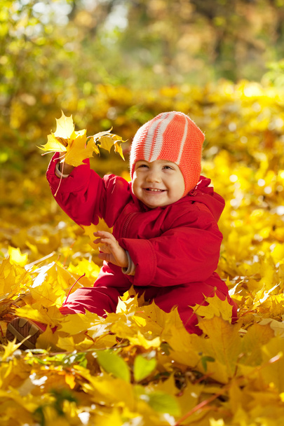 Niño sentado en hojas de arce
 - Foto, Imagen