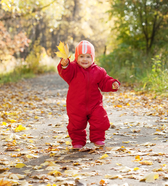 Happy toddler in autumn park - Фото, зображення