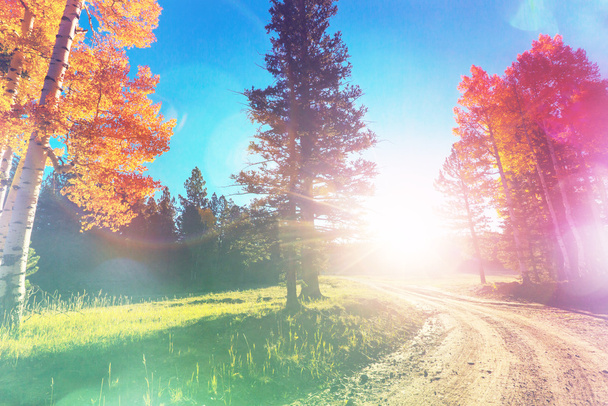 színes őszi táj - Fotó, kép