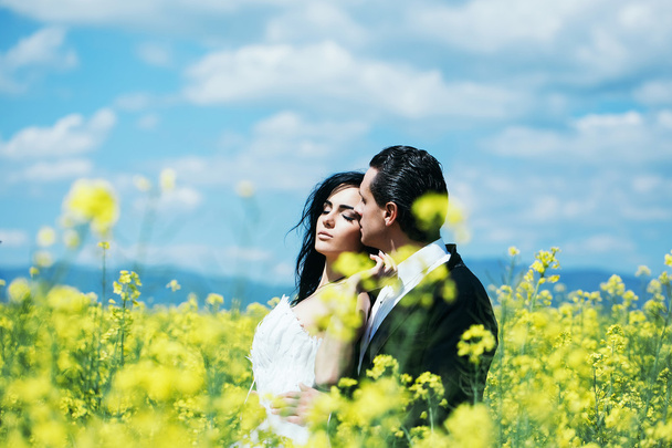 wedding couple in field yellow flowers - Photo, image