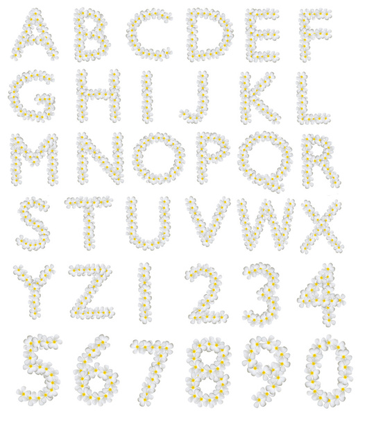Plumeria alfabet - Foto, afbeelding