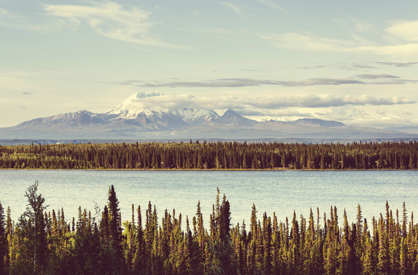 Βουνά της Αλάσκα το καλοκαίρι - Φωτογραφία, εικόνα