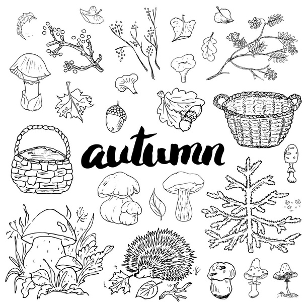 Autumn season set.  - Вектор,изображение