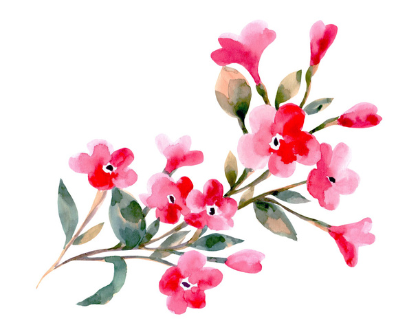 Watercolor illustration of a cherry flowers on a white background. - Fotó, kép
