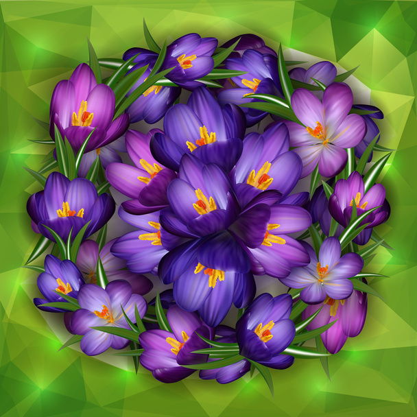 三角形の背景を持つ紫色のクロッカスの花 - ベクター画像