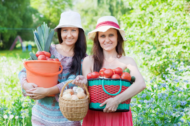 Women with harvested vegetables - Foto, afbeelding