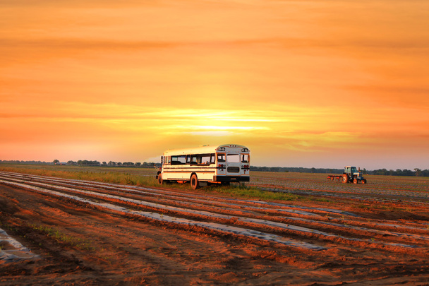 Autobús viejo utilizado para transportar verduras y frutas de los campos
 - Foto, Imagen