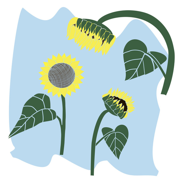 логотип желтого подсолнечника
. - Вектор,изображение