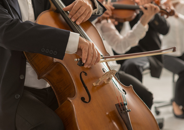 Cello player's hands close up - Φωτογραφία, εικόνα