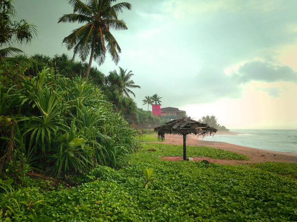 Σρι Λάνκα με θέα στον ωκεανό - Φωτογραφία, εικόνα