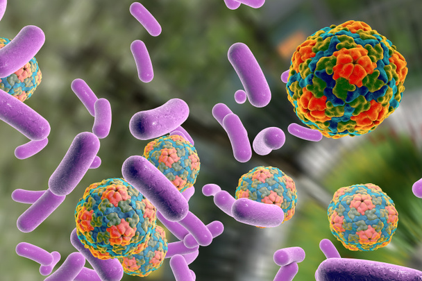 Illustrazione di batteri e virus
 - Foto, immagini
