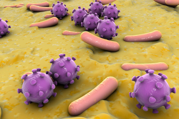 Bactérias e vírus ilustração
 - Foto, Imagem