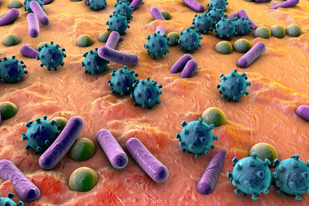 Bakterie a viry, ilustrace - Fotografie, Obrázek