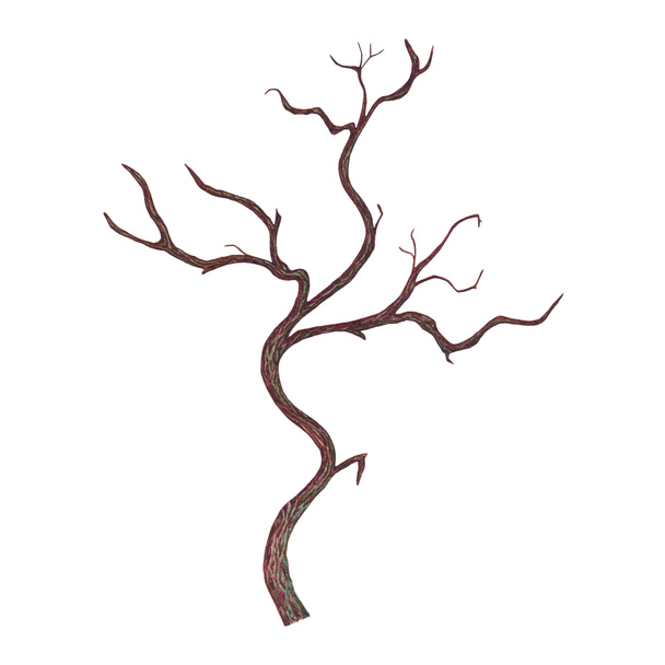 Aquarel boom zonder bladeren - Foto, afbeelding