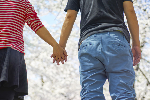 Pár se drží ruce pod rozkvetlou třešní - Fotografie, Obrázek