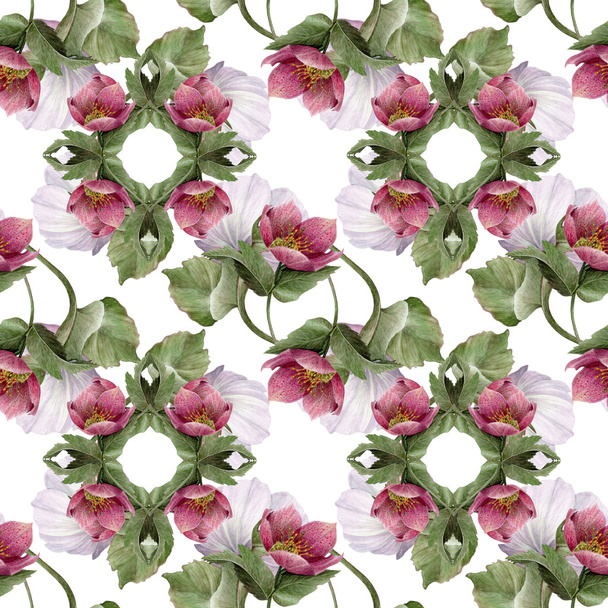Watercolor Hellebore flower seamless pattern. - Photo, Image