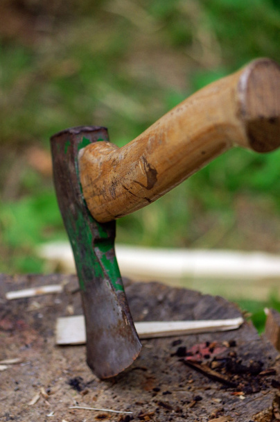 machado no toco com crista de madeira em um fundo de grama verde e f
 - Foto, Imagem