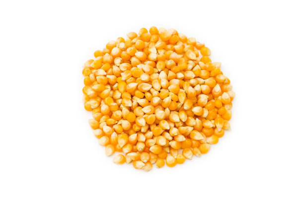 Sementes de milho isoladas no branco
 - Foto, Imagem