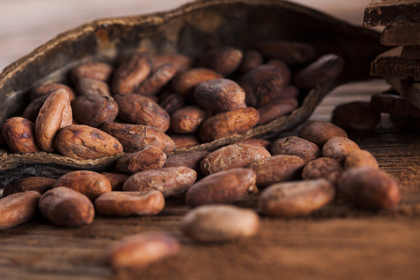 Cocoa pod and cocoa beans - Photo, Image