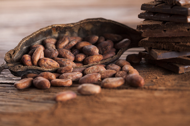 vaina de cacao y granos de cacao
 - Foto, Imagen
