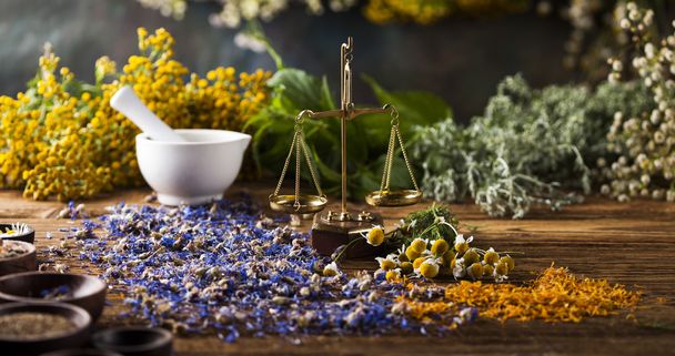 Herbs, berries and flowers with mortar - Fotó, kép
