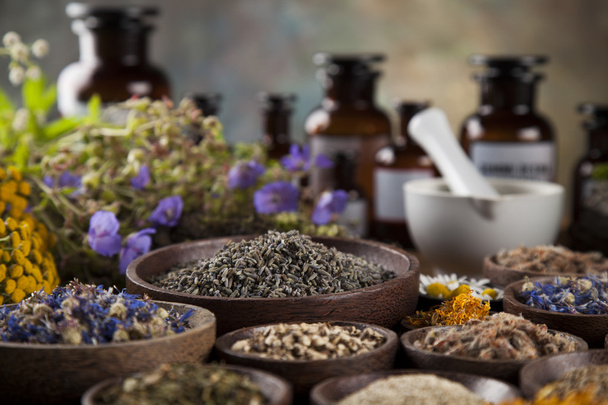 Fresh medicinal, healing herbs  - Photo, Image