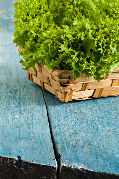 Taze yeşil salata lola rossa mavi ahşap arka plan üzerinde - Fotoğraf, Görsel