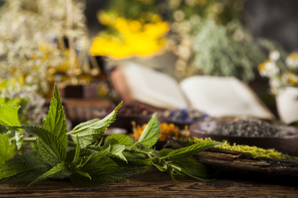 Libro y medicina herbal en mesa de madera
 - Foto, imagen
