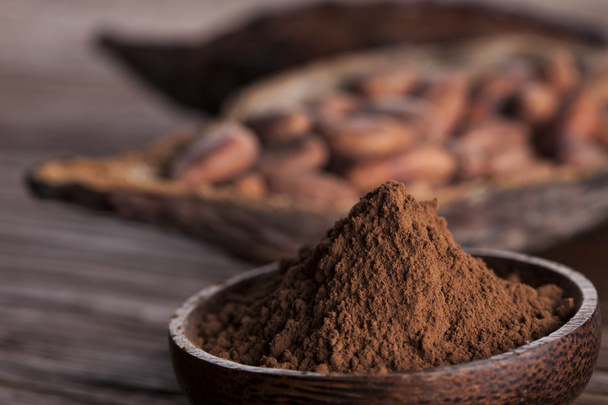 Judías de cacao y polvo
  - Foto, imagen