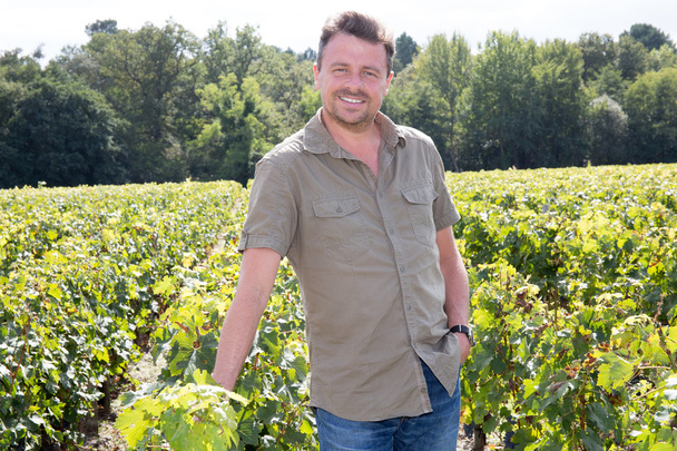 Красивый счастливый мужчина улыбается в камеру на виноградных полях
 - Фото, изображение