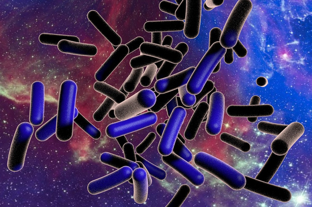 Rod vormige bacteriën - Foto, afbeelding