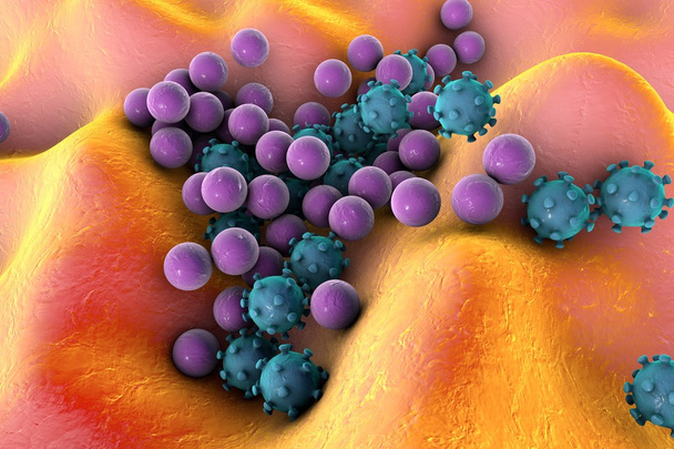 Illustration des bactéries et des virus
 - Photo, image