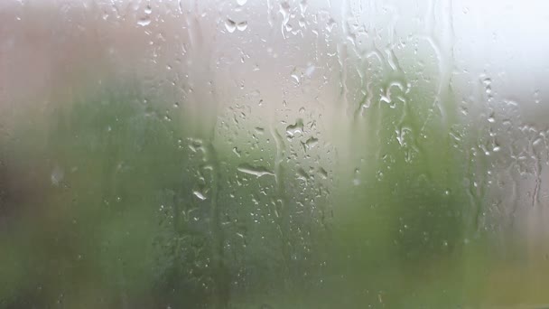 Chuva e gotas de água caindo em vidro durante a tempestade de chuva, close-up
. - Filmagem, Vídeo