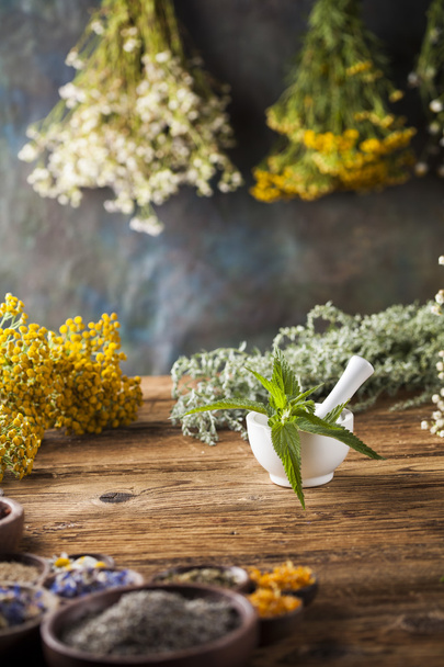 medical herbs, natural remedy and mortar  - Photo, Image