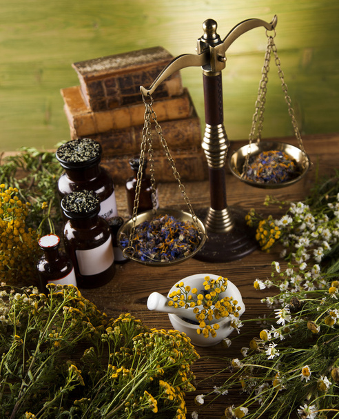 Book and Herbal medicine on wooden table - 写真・画像