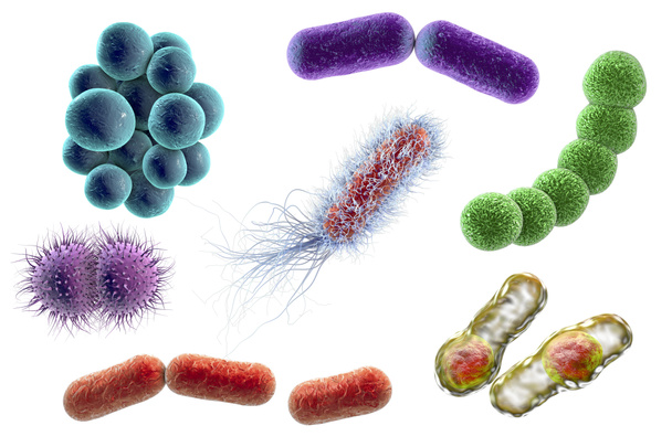 Microbios de diferentes formas
 - Foto, imagen