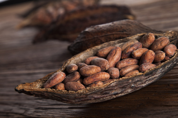 Tahta zemin üzerinde kakao kabuğu - Fotoğraf, Görsel