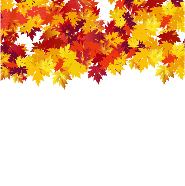 Autumn background with maple leaves   - Vector, Image