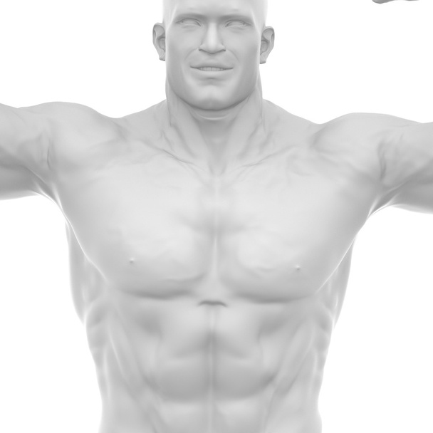homem construtor de corpo mostrando músculos
 - Foto, Imagem