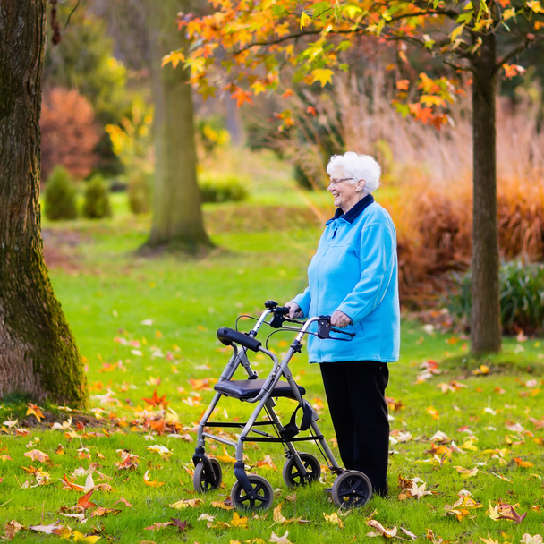 Starší dáma s walker v podzimním parku - Fotografie, Obrázek
