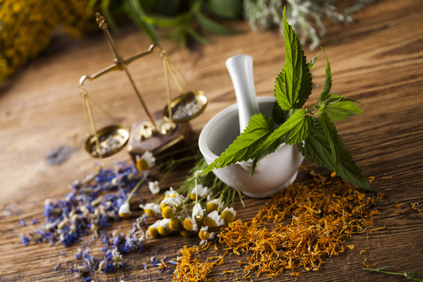 Herbs, berries and flowers with mortar - Foto, immagini