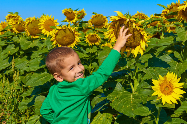 Portret uśmiechający się dziecka z słoneczniki - Zdjęcie, obraz