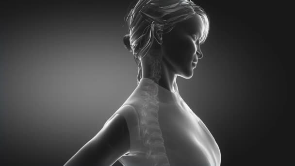 mujer tiene dolor de columna vertebral
 - Metraje, vídeo