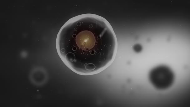 Cellule humaine avec mitochondries visibles
 - Séquence, vidéo