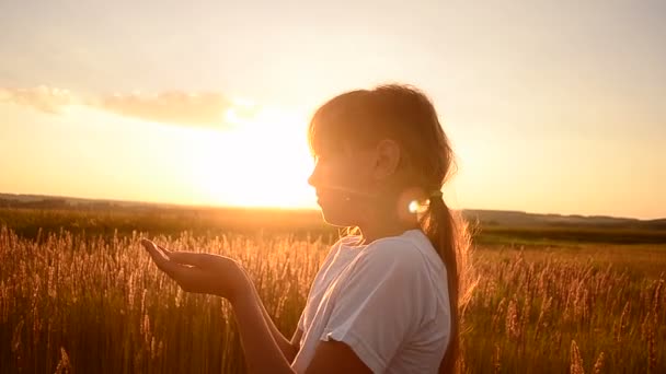 Girl blows on wheat seeds on a sunset - Footage, Video