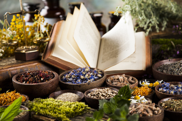 Книга и травяная медицина на деревянном столе
 - Фото, изображение
